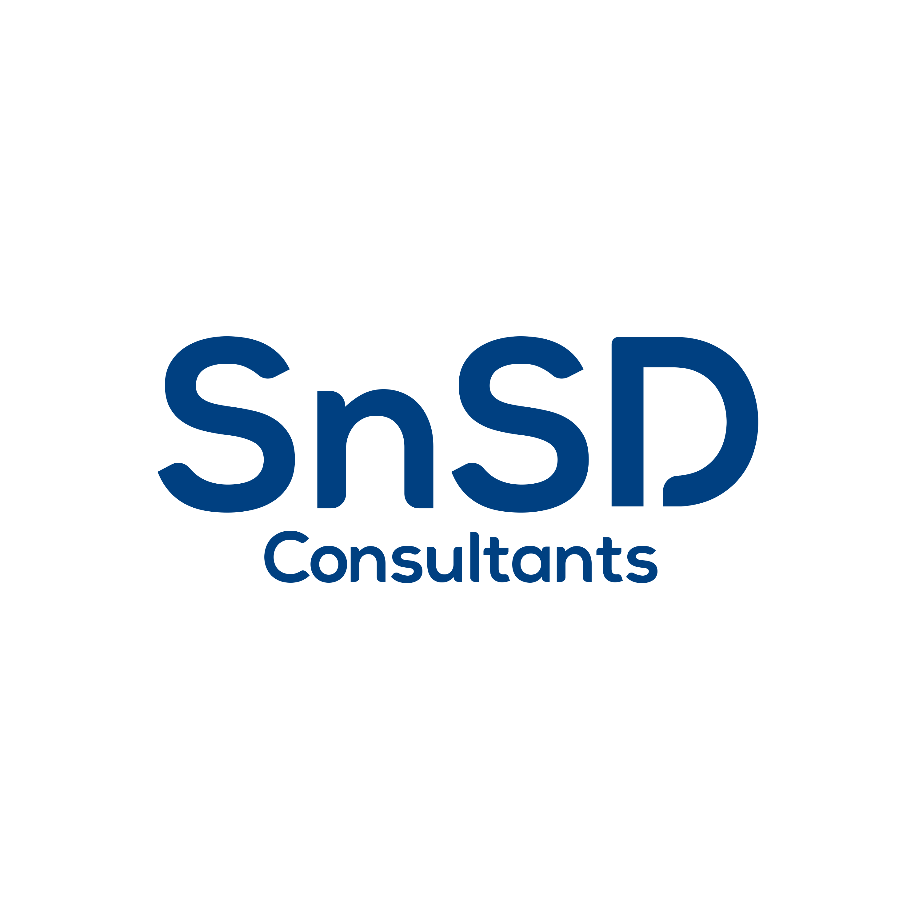 SnSD Consultants